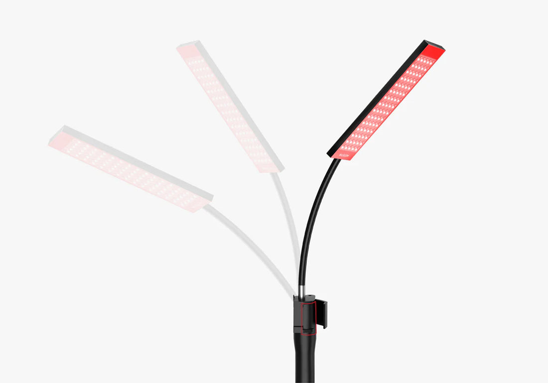 The flexible top support allows you to easily adjust the lamp’s angle, ensuring optimal light therapy coverage for different body areas.