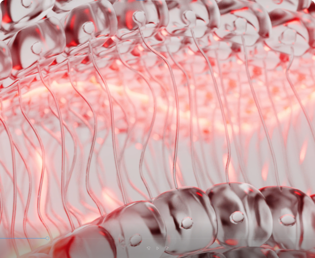 When CCO absorbs light, it boosts ATP production, fueling the electron transport chain to convert oxygen and nutrients into energy.