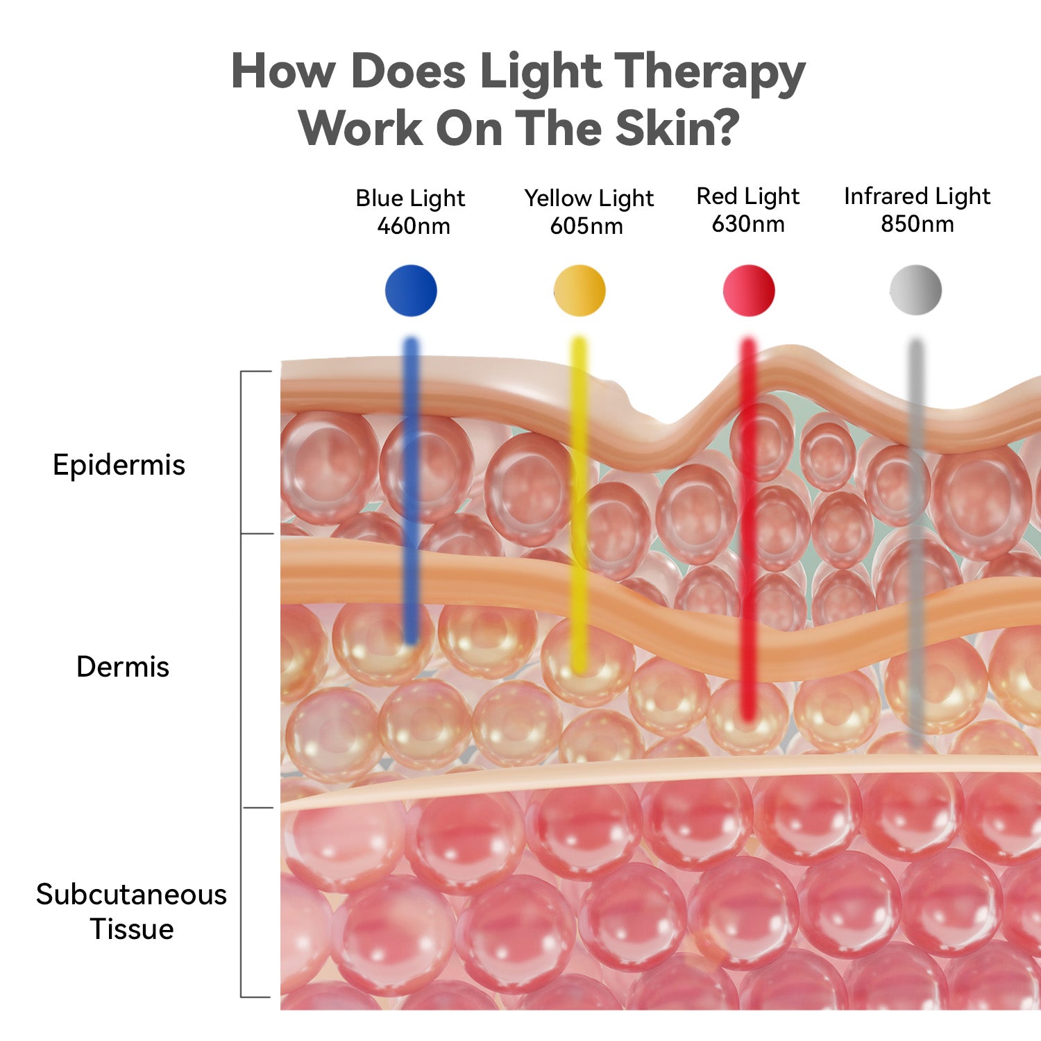 Megelin Flex LED Light Therapy Device Plus - Megelin