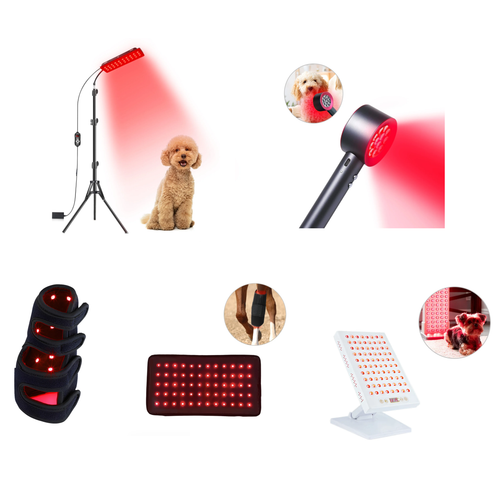 A Complete Guide for Best At-home Red Light Therapy Device for Dog Arthritis