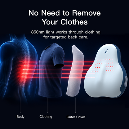 Megelin TheraLiving Back Cushion