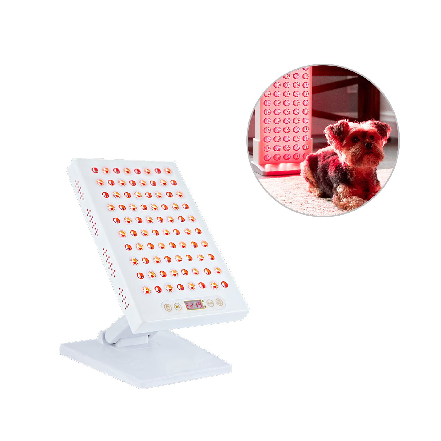 Megelin Red Light Therapy for Pets - Megelin