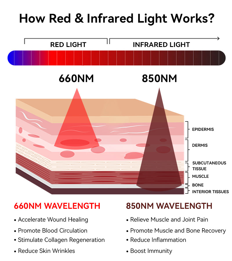 What Do Red LED Lights Mean? Megelin