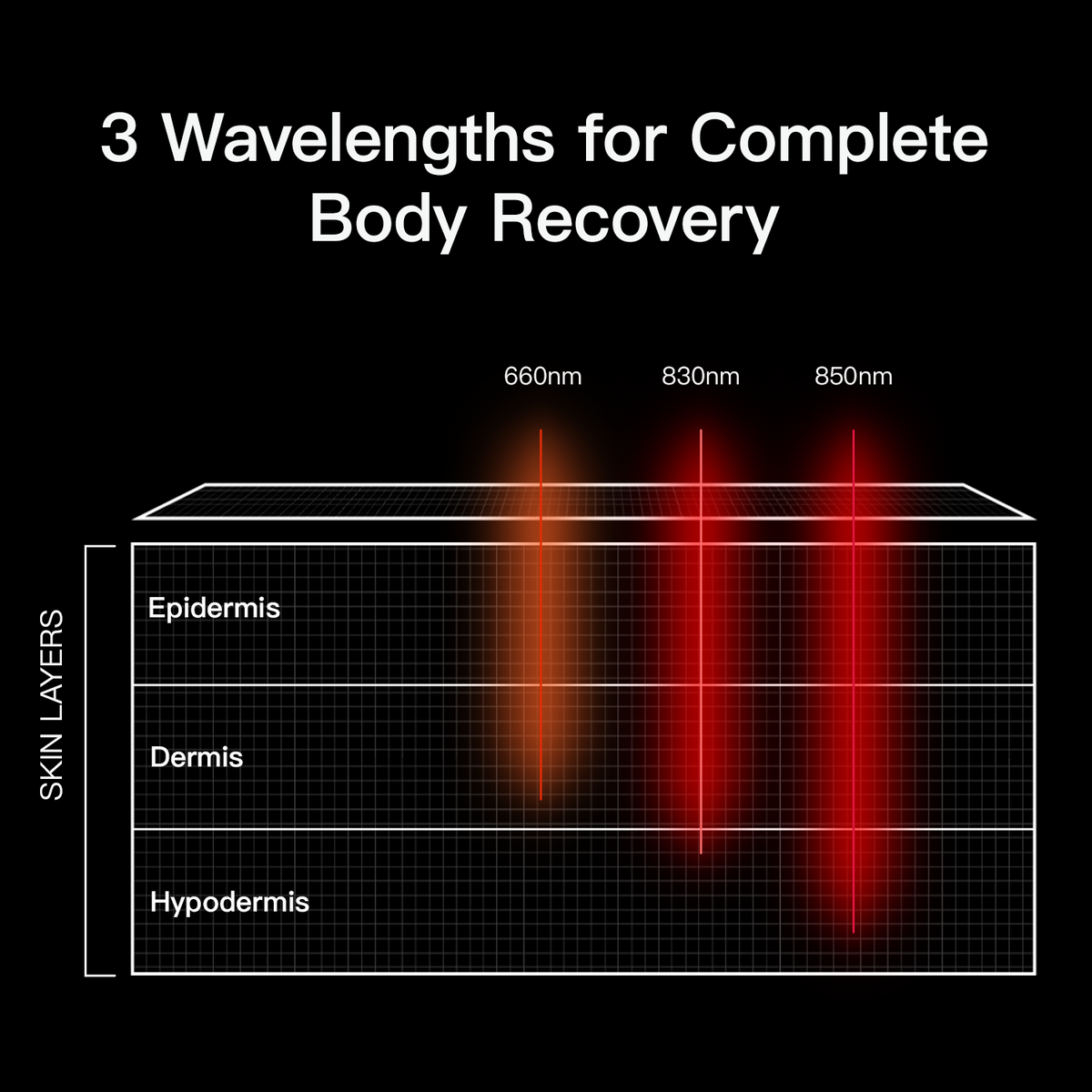 Megelin Red and Infrared Light Therapy Bag - Megelin