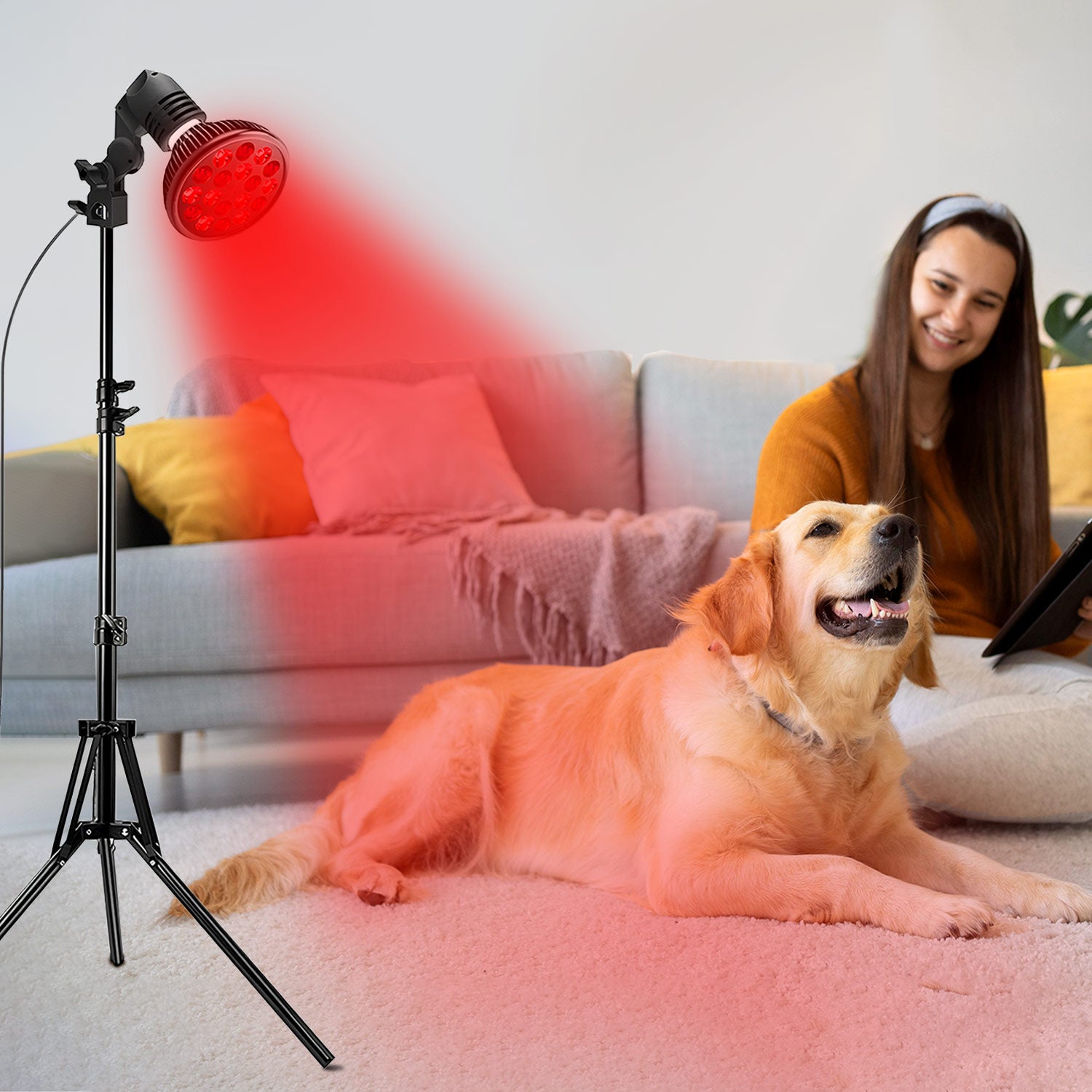 Megelin Red Light Therapy for Pets