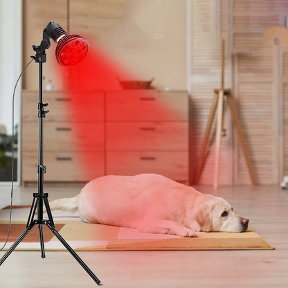 Megelin Red Light Therapy for Pets