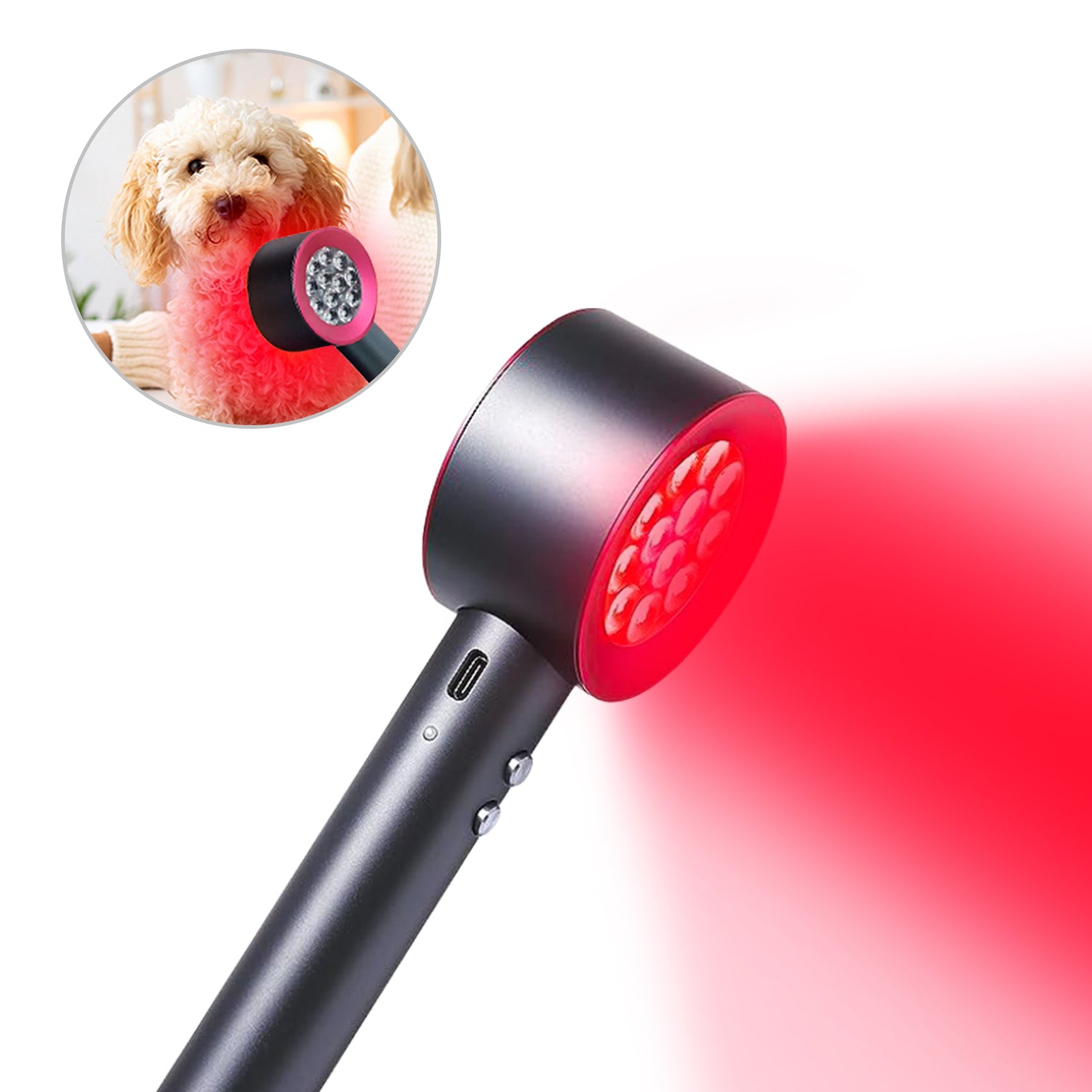 Megelin Red Light Therapy for Pets - Megelin